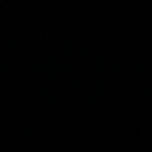 Meet your Posher, Amina